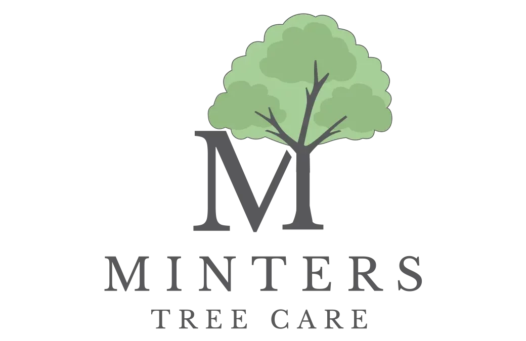 Tree Care Logo